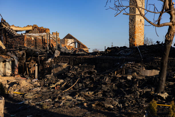 Reliable Content Restoration contractor in Mesa, AZ by Fire Damage Flint