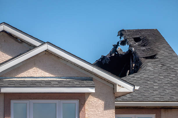 Top rated local Content Restoration specialists in Mesa, AZ